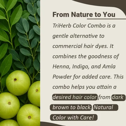 Vista 2 de Mi Nature TriHerb Color Combo 10.58 oz (3.53 oz x 3) Kit de cuidado natural con polvo de henna, índigo y amla Color con cuidado