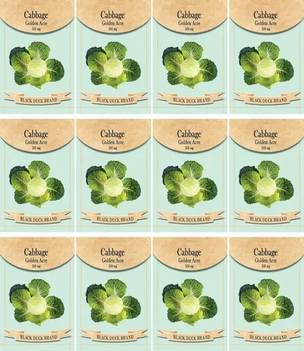 Vista 18 de Juego de 12 paquetes de semillas de verduras de roqueta de rúcula, crea un jardín de lujo, todas las semillas son reliquias, 100% sin OMG