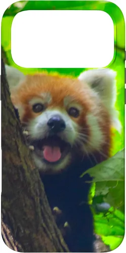 Vista 22 de Cute Funny Red Panda Smiling Tree Animal Nature Lover Gift Case for iPhone 17