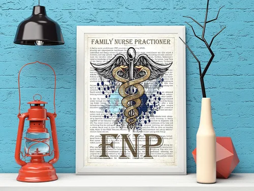 Vista 3 de Family Nurse Practitioner Gift, FNP Gift, Nurse Present, Nursing School Graduation Gift Idea, Medical School, FNP Office Decor, Wall Art