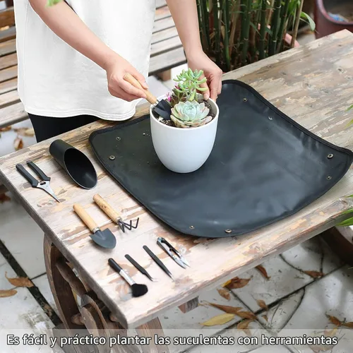 Vista 5 de 11 piezas de herramientas para suculentas, mini herramientas de jardín, herramienta de riego de suculentas como accesorios para plantas, kit
