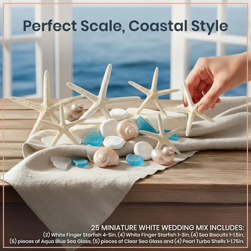 Vista 8 de Conchas de mar – Conchas de playa mezcladas reales con estrellas de mar y cristal de mar (paquete de 5) – Conchas para manualidades – Decoración