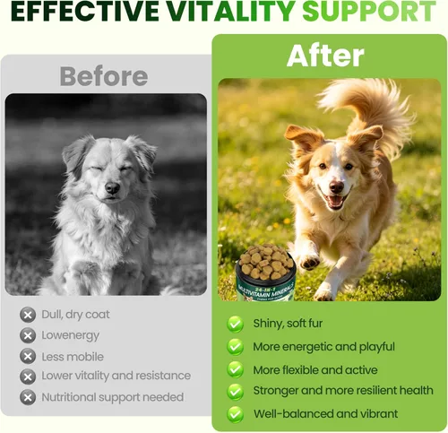 Vista 8 de Vitaminas y suplementos 24 en 1 para perros, multivitamínico masticable con condroitina, probióticos Omega-3, glucosamina para perros, pelaje