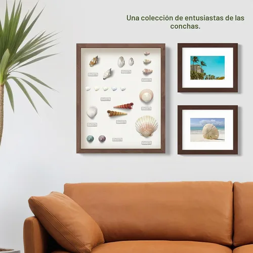 Vista 6 de FrameWorks Marco de Caja de Sombra de Madera Negra de 8" x 8" – Vitrina con Parte Trasera de Fieltro Suave, Caja de Memoria con Vidrio Templado Negro