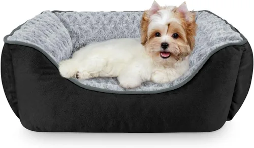 Vista 17 de JOEJOY - Cama rectangular para perros grandes, medianos y pequeños - Cama de sofá ortopédica lavable, suave y transpirable para cachorros