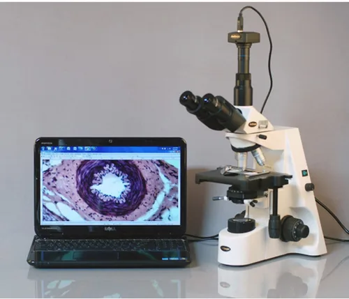 Vista 4 de AmScope Microscopio compuesto trinocular T690B-PL, aumento 40X-2000X, oculares de campo súper ancho WH10x y WH20x, objetivos acromáticos de plan
