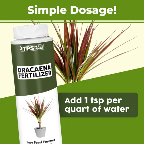 Vista 3 de Dracaena Fertilizante - Alimento líquido vegetal para hojas verdes ricas y crecimiento fuerte de la caña, 8 onzas