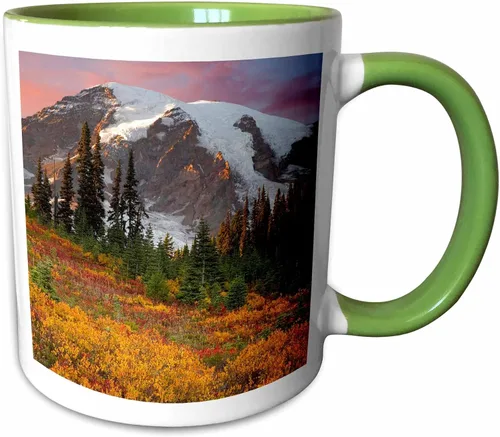 Vista 12 de 3dRose (mug_95130_4) USA, Washington, Mount Rainier NP, Paradise Area - US48 BJA0117 - Jaynes Gallery - Taza negra de dos tonos, 11 onzas