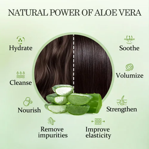 Vista 4 de Aloderma Set de cuidado del cabello de aloe vera: champú que controla el aceite, acondicionador nutritivo para el cabello