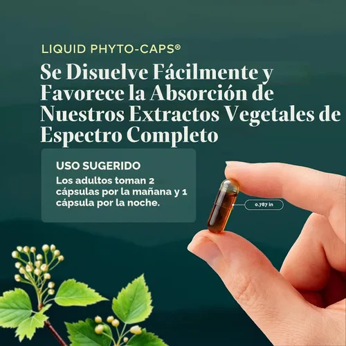 Vista 6 de Gaia Herbs Hoja de ginkgo, 60 cápsulas veganas, 30 porciones