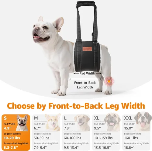 Vista 4 de LOOBANI - Arnés portátil para perros pequeños, soporte para patas traseras débiles Walking & Stair Assistance, Senior Dog Mobility, Padded