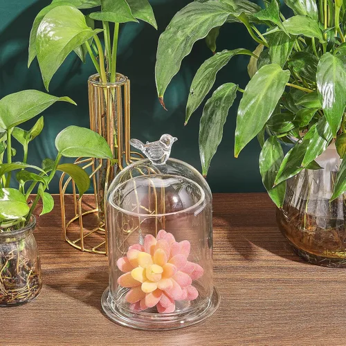 Vista 5 de CHGCRAFT Cubierta de cúpula de cristal con diseño de pájaro en forma de arco con base de vidrio, vitrina decorativa para portavelas, plantas