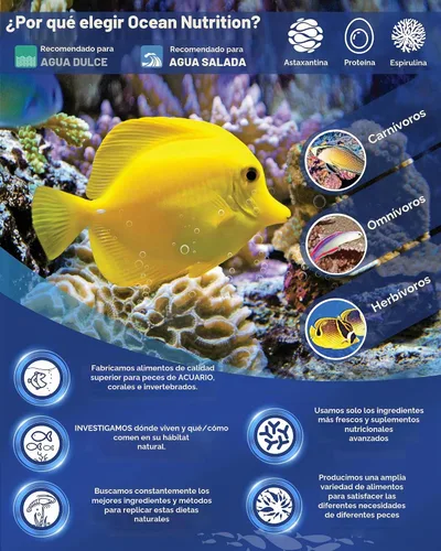 Vista 6 de Ocean Nutrition Prime Reef Flakes - Tarro de 1.2 onzas (1.20 oz)