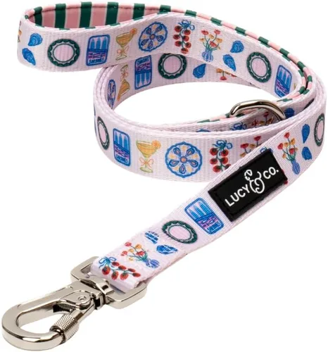 Vista 4 de Correa para perros de diseño Lucy & Co. - Accesorios para mascotas - Correa gruesa para perros - Asa acolchada para mayor comodidad - Entre