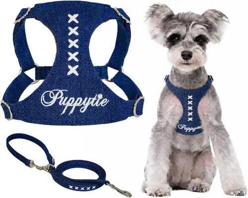 Vista 11 de Arnés sin tirones para perro, con correa multifunción, pechera suave y ajustable para mascota, no ahorca, chaleco a prueba de escape, azul vaquero