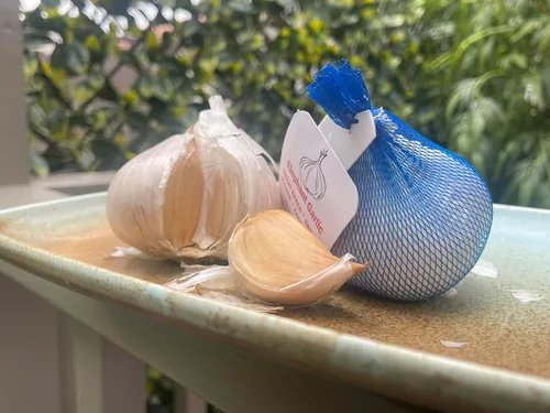 Vista 2 de Ajo de elefante. Cultivado en California. 2 bulbos enormes. Delicioso sabor más suave y suave. Ideal para cocinar, comer y plantar. Grandes