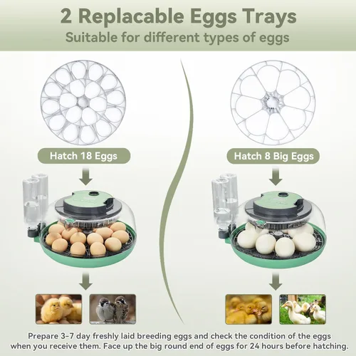 Vista 2 de Incubadora de 18 huevos con giro automático de huevos para incubar pollo codorniz pato Hatching Unit with Digital Control & Built-in Candler, 2