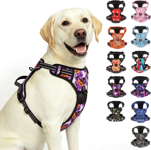 Vista 36 de BEAUTYZOO Juego de arnés y correa para perro sin tirones, chaleco para Verde militar