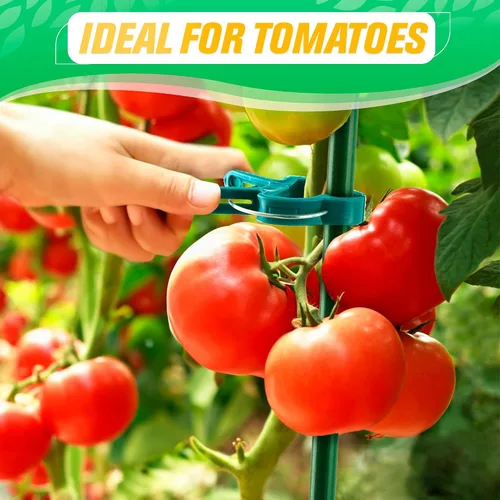 Vista 8 de 60 clips para plantas, 2 tamaños, para plantas de jardín, para tomate, plantas trepadoras, plantas colgantes, para vides, suministros de jardinería
