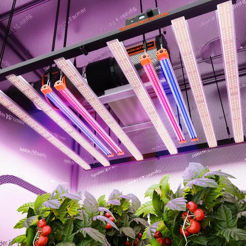 Vista 8 de Spider Farmer Luz de cultivo LED UV30 e IR16 mejorada 2025, 365-370 nm UV y luz suplementaria IR de 730-745 nm para plantas de interior, tiendas