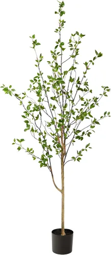 Vista 12 de Árbol artificial de cítricos minimalista de 1,22 m de Nearly Natural