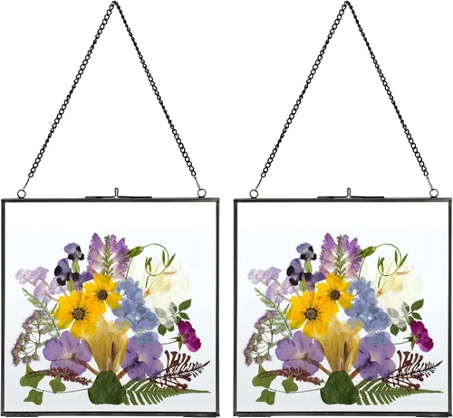 Vista 10 de JUXYES Paquete de 2 marcos cuadrados de latón para colgar en la pared para flores prensadas, marco de exhibición de ilustraciones de doble vidrio