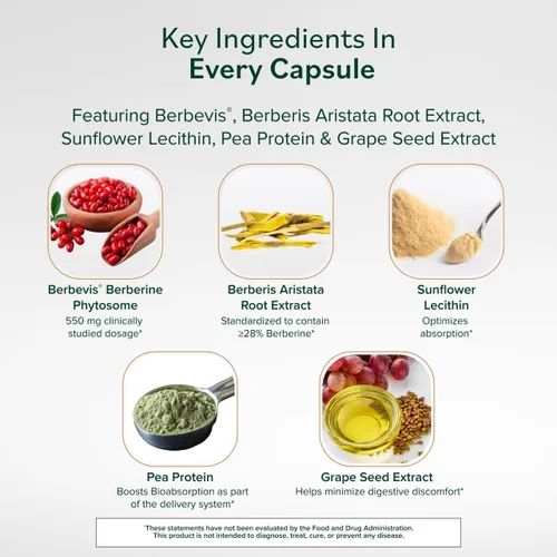 Vista 7 de Prominent Nutrition Fitosoma de berberina - Hasta 9.6 veces absorción superior - Berberina estandarizada para apoyo digestivo, intestinal y cardíaco