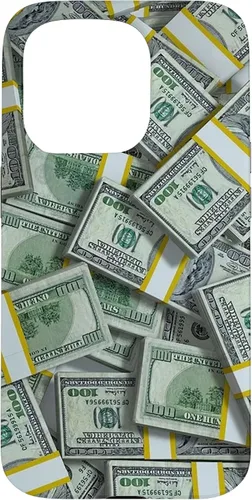 Vista 14 de Pile Money Finance Currency 100 Dollar Stacks Bill s Success Case para iPhone 17