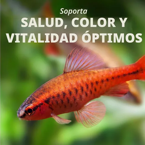 Vista 4 de TetraPro Tropical Color Crisps, Alimento para Peces con Realzadores de Color Natural, Comida para Peces Tropicales, 7.41 Onzas
