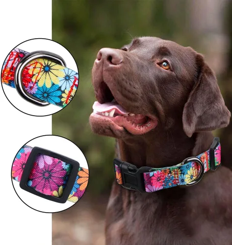 Vista 3 de Collar de perro para perros pequeños con patrón floral para hembras y perros, talla S
