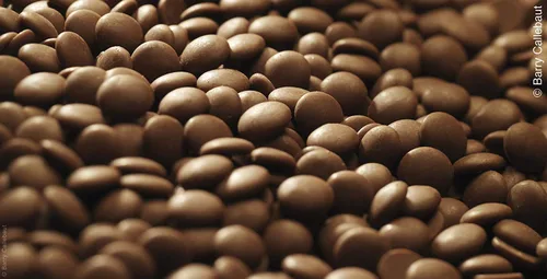 Vista 6 de Callebaut No 823 mejores caletas de chocolate con leche belga Couverture 33.6% - 2.2 lbs