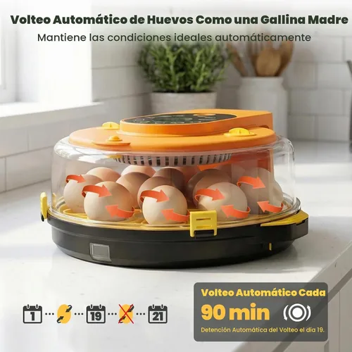 Vista 5 de Incubadoras para incubar huevos - Incubadora automática de pollitos de huevo de 15 huevos con 5 modos preestablecidos inteligentes y control