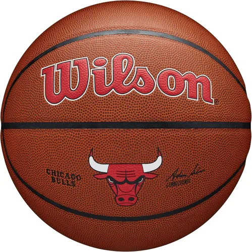 Vista 33 de Wilson NBA Team Alliance Balones de baloncesto - Tamaño 7-29.5