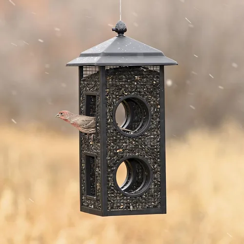 Vista 6 de Perky-Pet B00303 Comedero para pájaros silvestres con vuelo