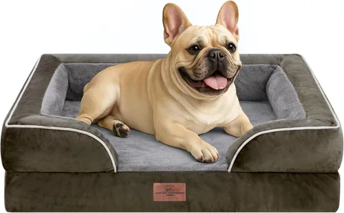 Vista 71 de Comfort Expression - Cama ortopédica para perros medianos, 28 x 19 pulgadas, cama impermeable y de apoyo de espuma con cojines removibles, sofá