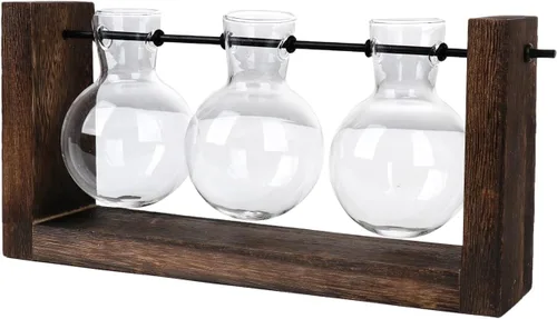 Vista 7 de Terrario para plantas con soporte de madera, jarrón de propagación de mesa, macetas hidropónicas de vidrio, maceta de aire, florero de vidrio