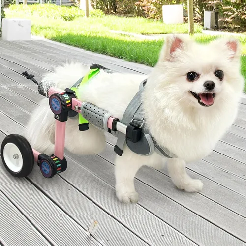 Vista 7 de Silla de ruedas ajustable para perros para patas traseras, soporte de movilidad, silla de ruedas ligera para mascotas con patas traseras