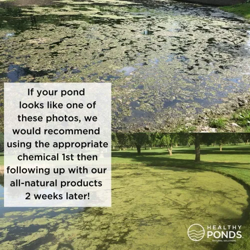 Vista 4 de Healthy Ponds Aquasphere Pro Tratamiento biodegradable para estanques, trata hasta 1,000 galones