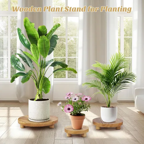 Vista 11 de Soportes de madera para plantas, elevadores de madera para interiores y exteriores para decoración, taburete de madera para mesa del hogar, baño