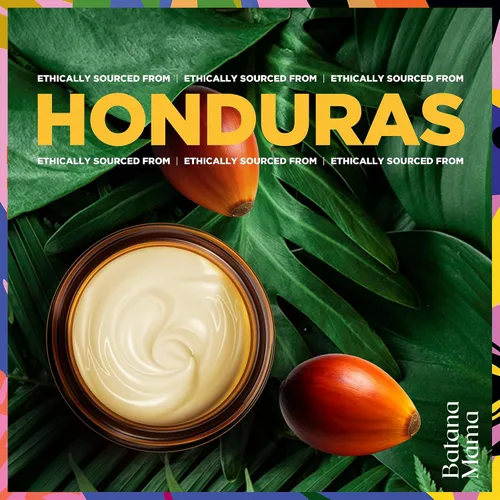 Vista 9 de Aceite de batana prensado en frío de alta calidad para el crecimiento del cabello, 100% puro y orgánico, sin olor a quemado, mascarilla