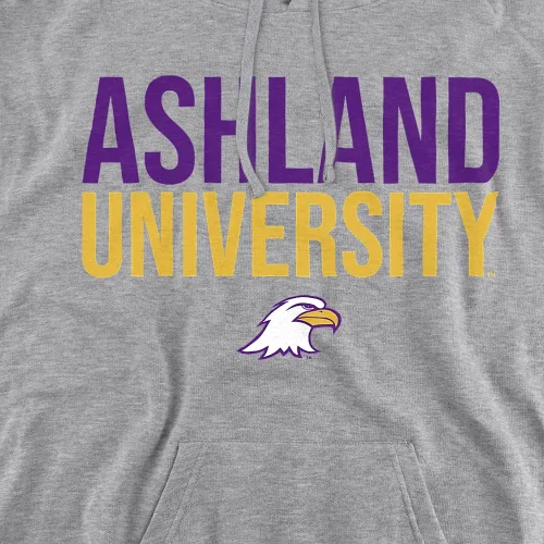 Vista 2 de LOGOVISION Ashland University - Sudadera con capucha unisex para adultos