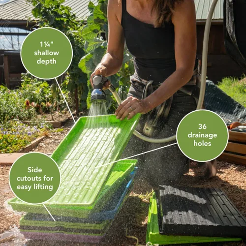 Vista 2 de Bootstrap Farmer - Bandejas Microgreen 1020, paquete de 5 bandejas de semillas extra resistentes y poco profundas con orificios - Cultivo