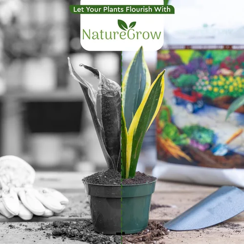 Vista 7 de Lombricomposta de Tierra - Fertilizante orgánico de 1 lb con ácido húmico - Lombricomposta pura para jardinería