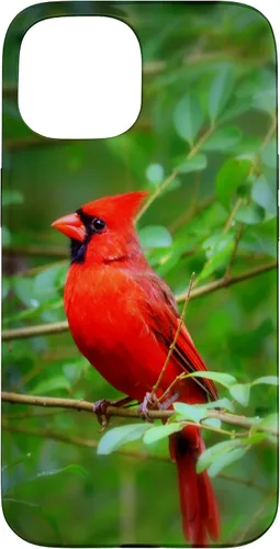 Vista 6 de Hermosa cardenal pájaro rojo escena de la naturaleza caso para iPhone 17