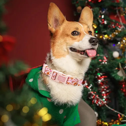 Vista 5 de Elegant little tail Collar para perro, collar de Navidad ajustable para perros pequeños, medianos y grandes, collares suaves para cachorros