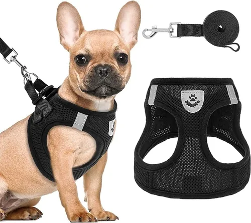 Vista 7 de PAWCHIE Juego de arnés y correa para cachorros, arnés de malla suave para perro, arnés reflectante y ajustable para perros pequeños a medianos