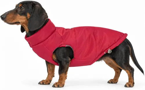 Vista 13 de DJANGO Abrigo de invierno reversible para perros con acolchado – Chaqueta de invierno cálida para perros y abrigo aislante repelente al agua