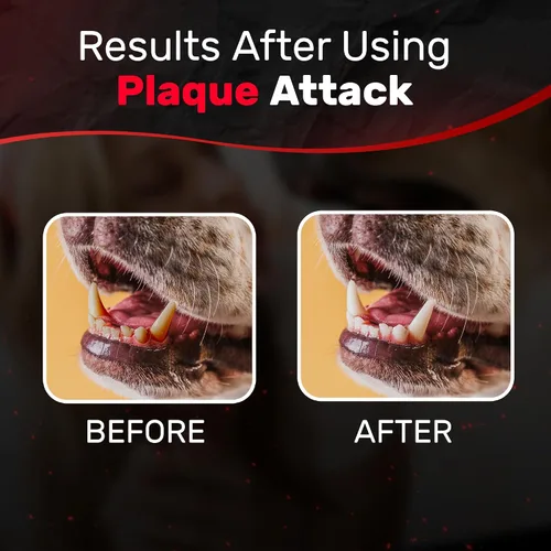 Vista 6 de Spray dental para mascotas, como se ve en la televisión, elimina la placa y el sarro, ayuda con la placa y el sarro y proporciona un aliento fresco