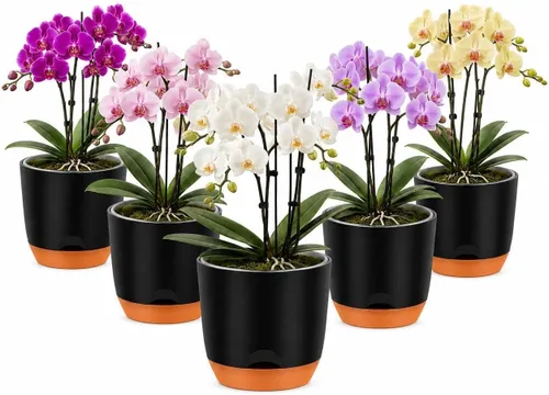 Vista 18 de QCQHDU 2 Pack 5.7 Inch Orchid Pots with Holes for Repotting, Double-Layer and Self Watering Orchid Pot with Good Air Circulation Verde