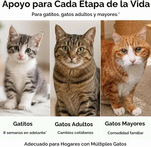 Vista 6 de Spray de feromonas calmante para gatos, para viajes, paseos en coche
